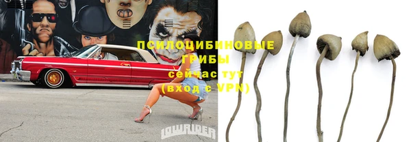 соль курить ск Белокуриха