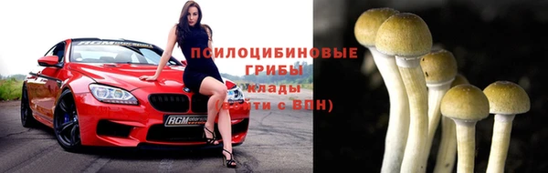 соль курить ск Белокуриха