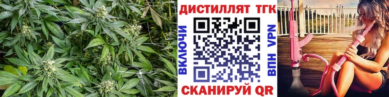 ТГК Wax  Трубчевск 