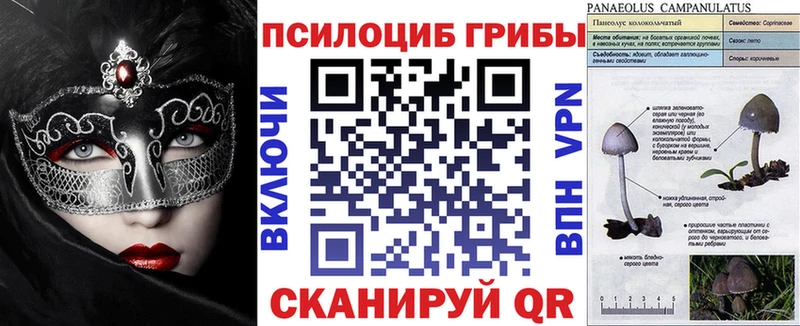 Псилоцибиновые грибы Cubensis  Трубчевск 